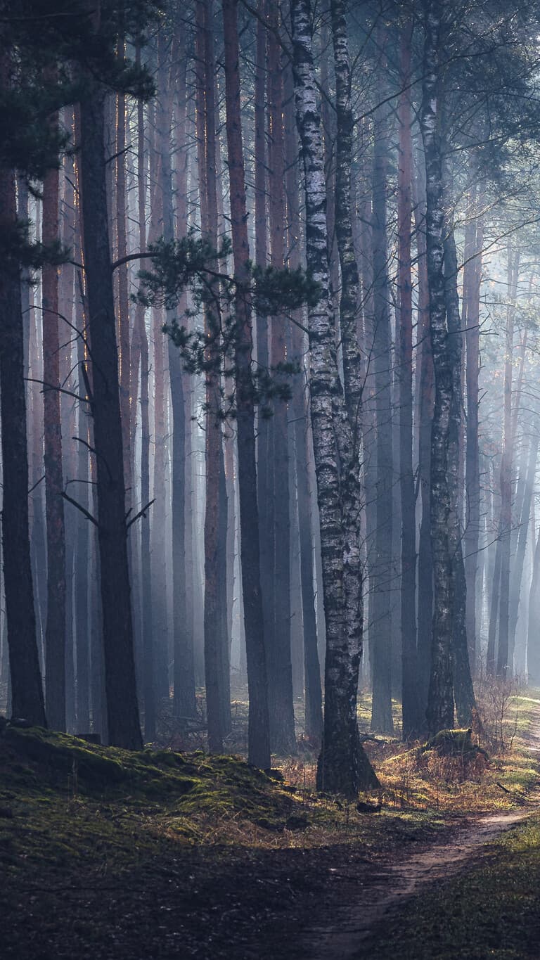 Aesthetic Wallpaper #4221