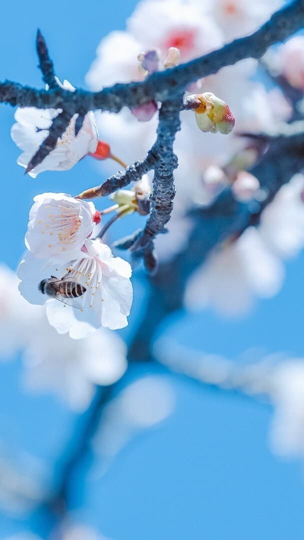 Aesthetic Wallpaper #2468