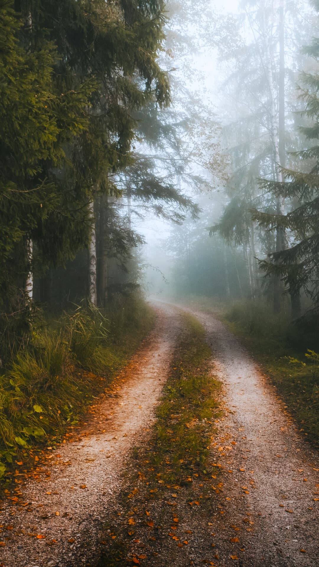 Aesthetic Wallpaper #4478