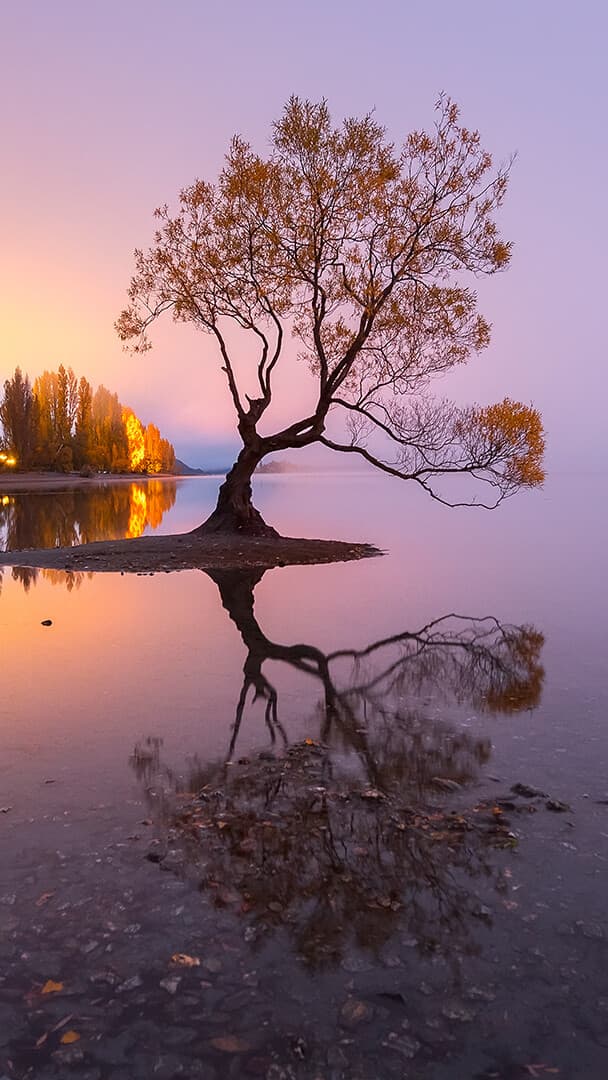 Aesthetic Wallpaper #2203