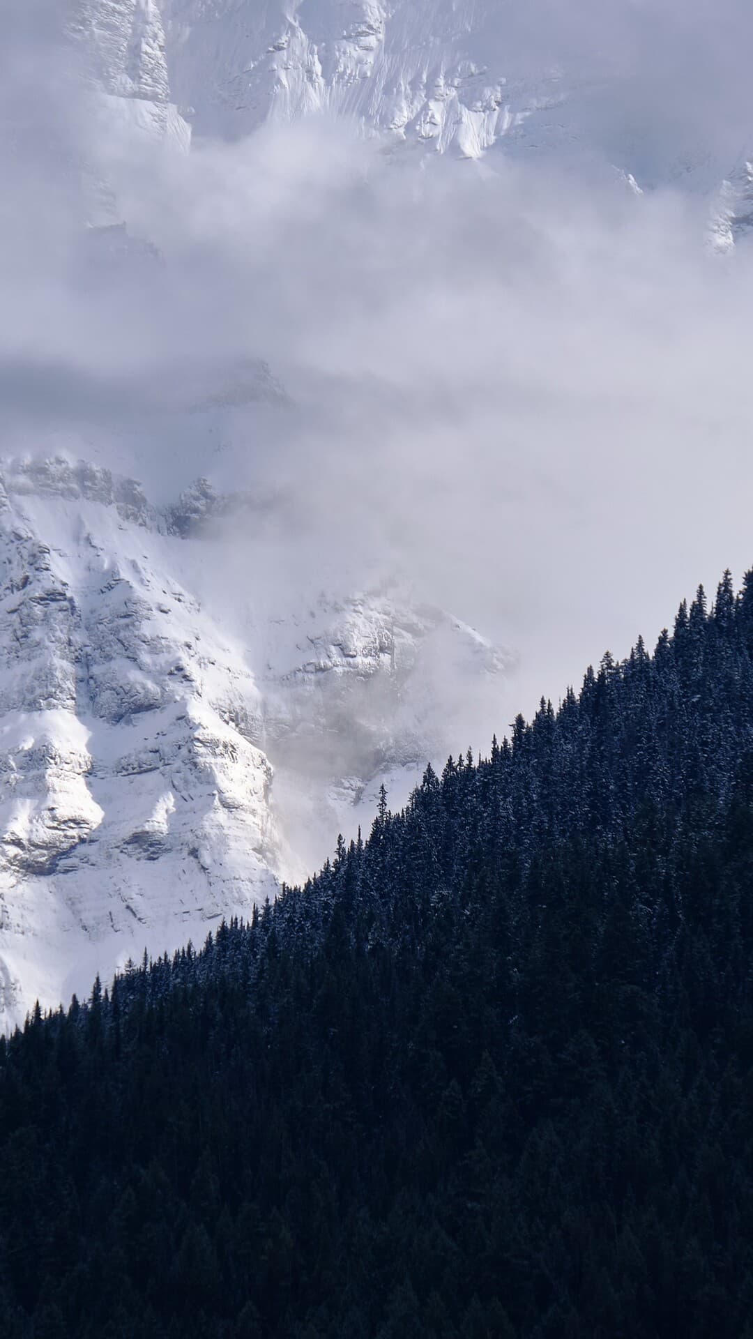 Aesthetic Wallpaper #2632