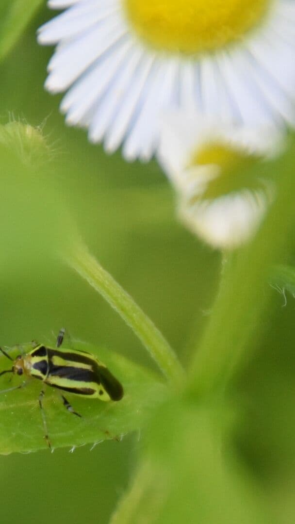 Aesthetic Wallpaper #4471