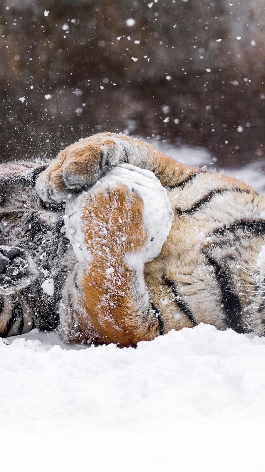 Aesthetic Wallpaper #3930