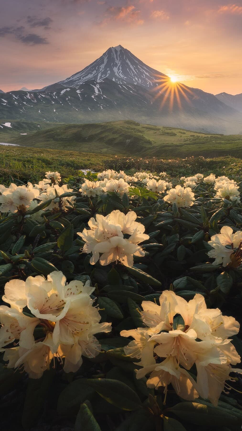 Aesthetic Wallpaper #1834