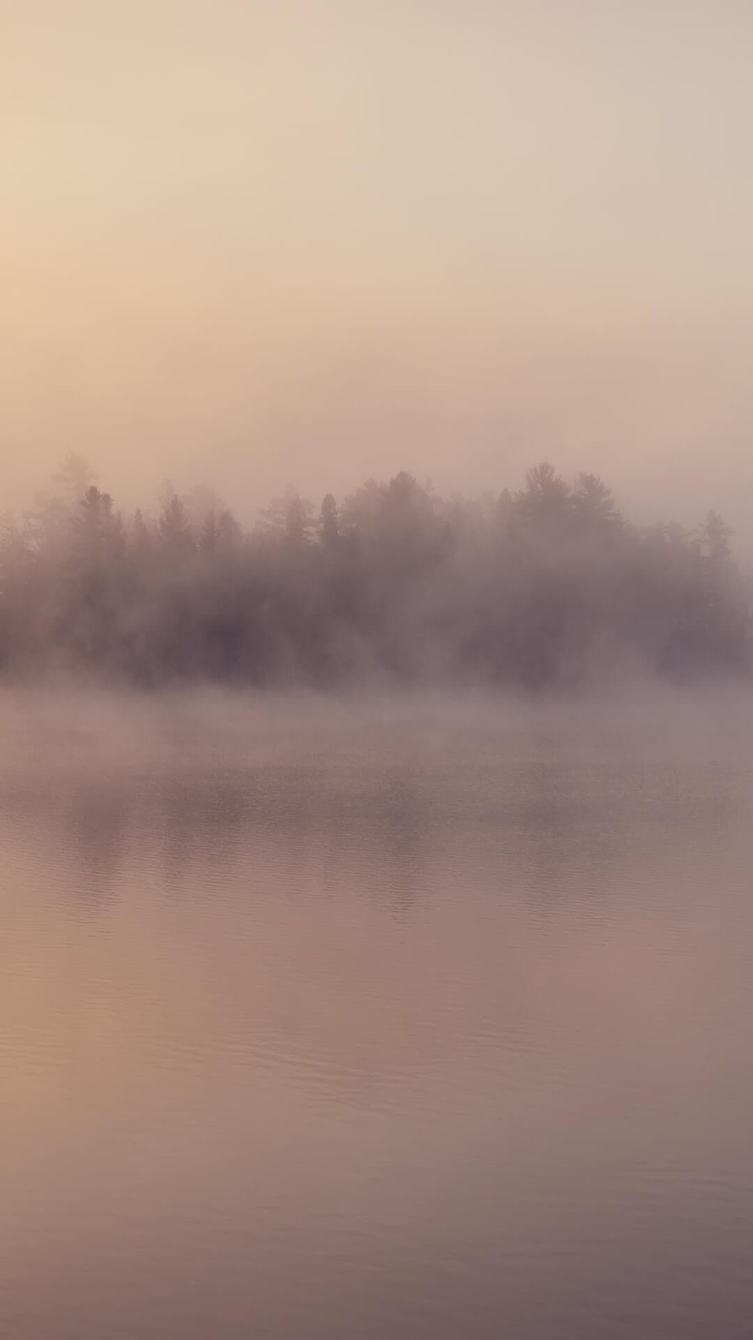 Aesthetic Wallpaper #2804