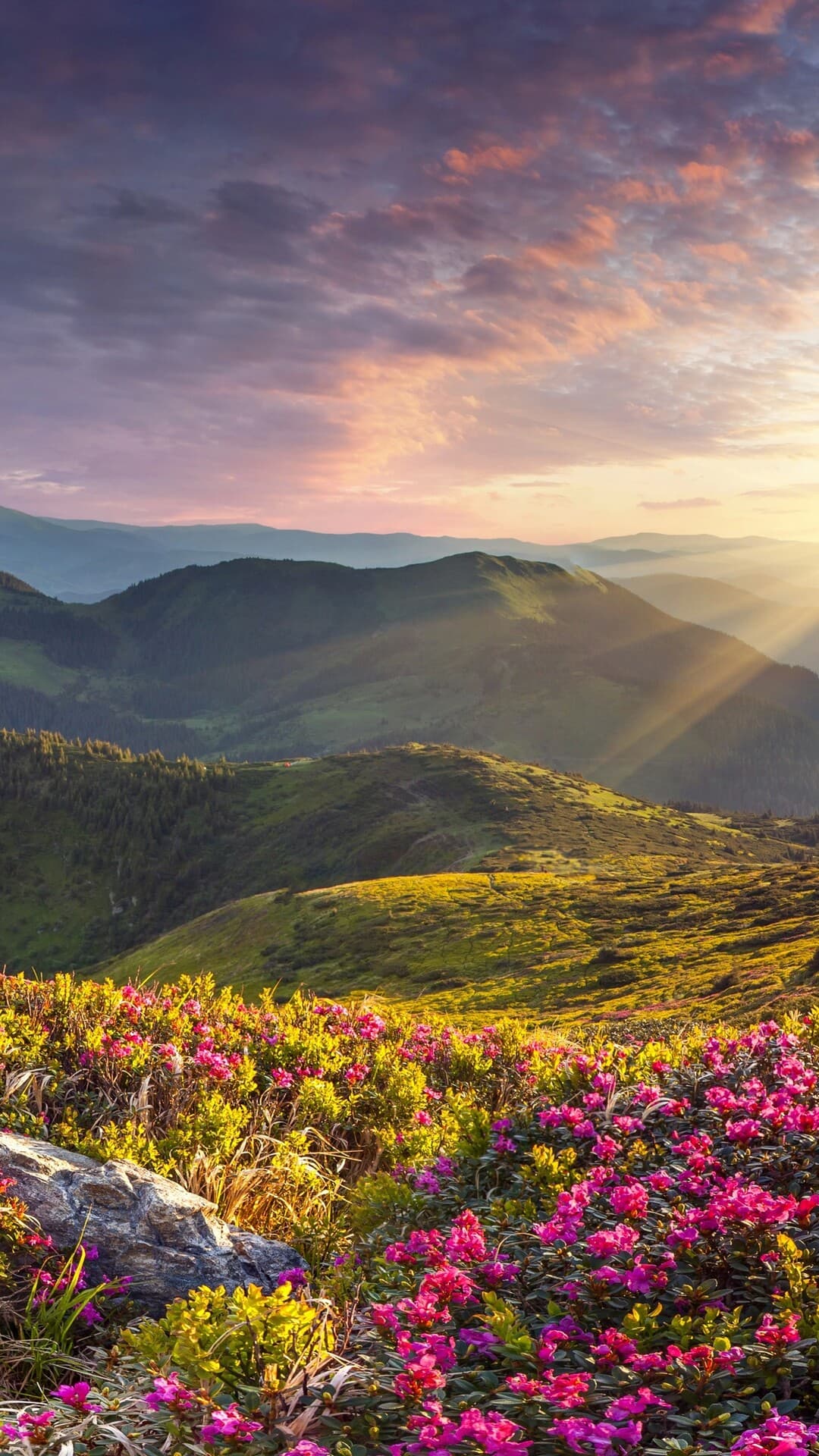 Aesthetic Wallpaper #3706