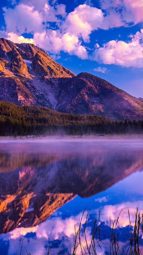 Aesthetic Wallpaper #3876