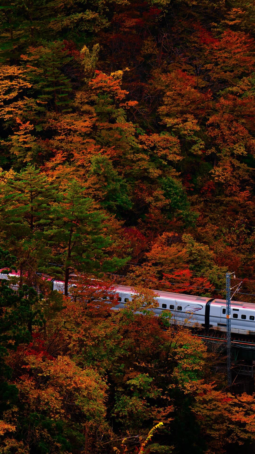 Aesthetic Wallpaper #3599