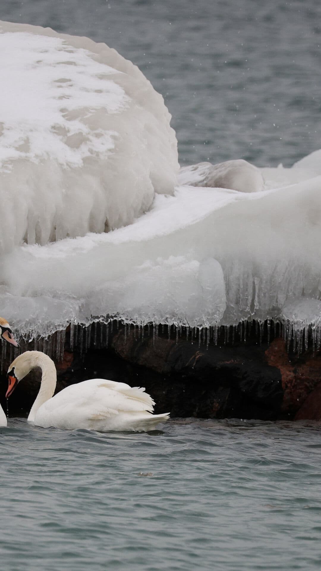 Aesthetic Wallpaper #2566