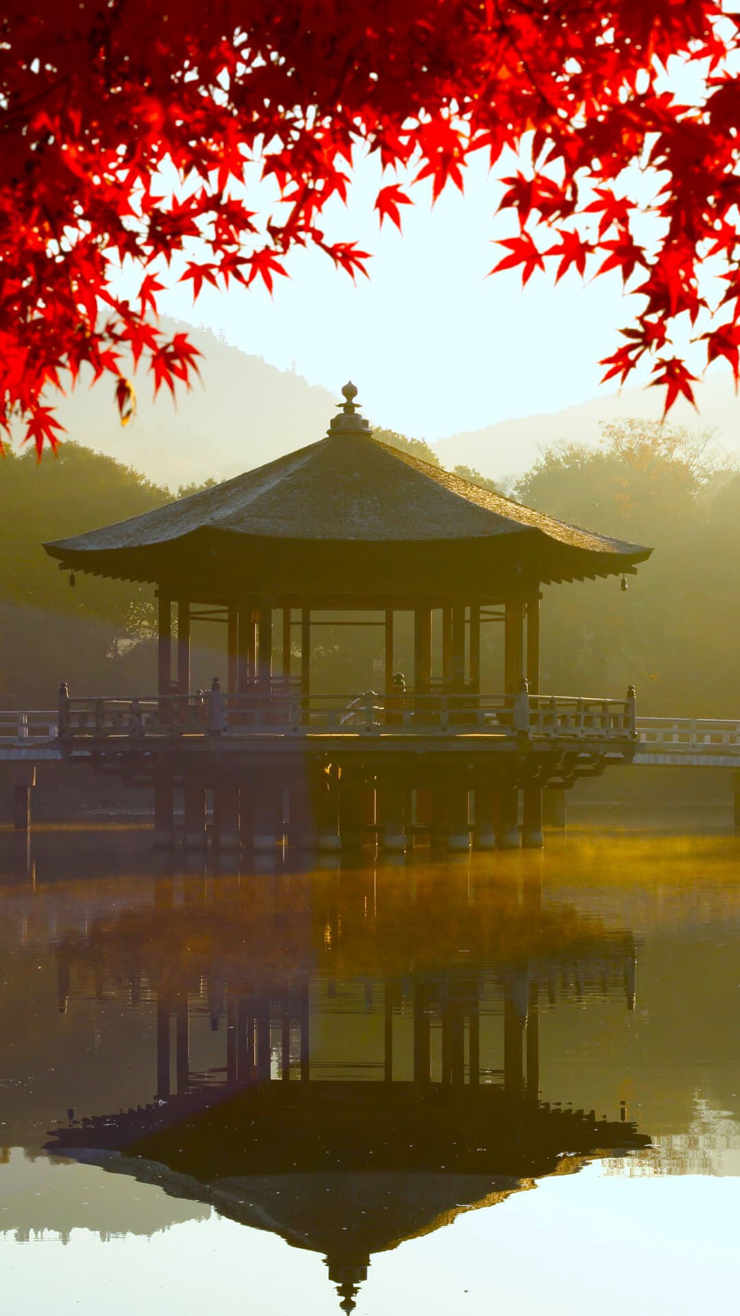 Aesthetic Wallpaper #551