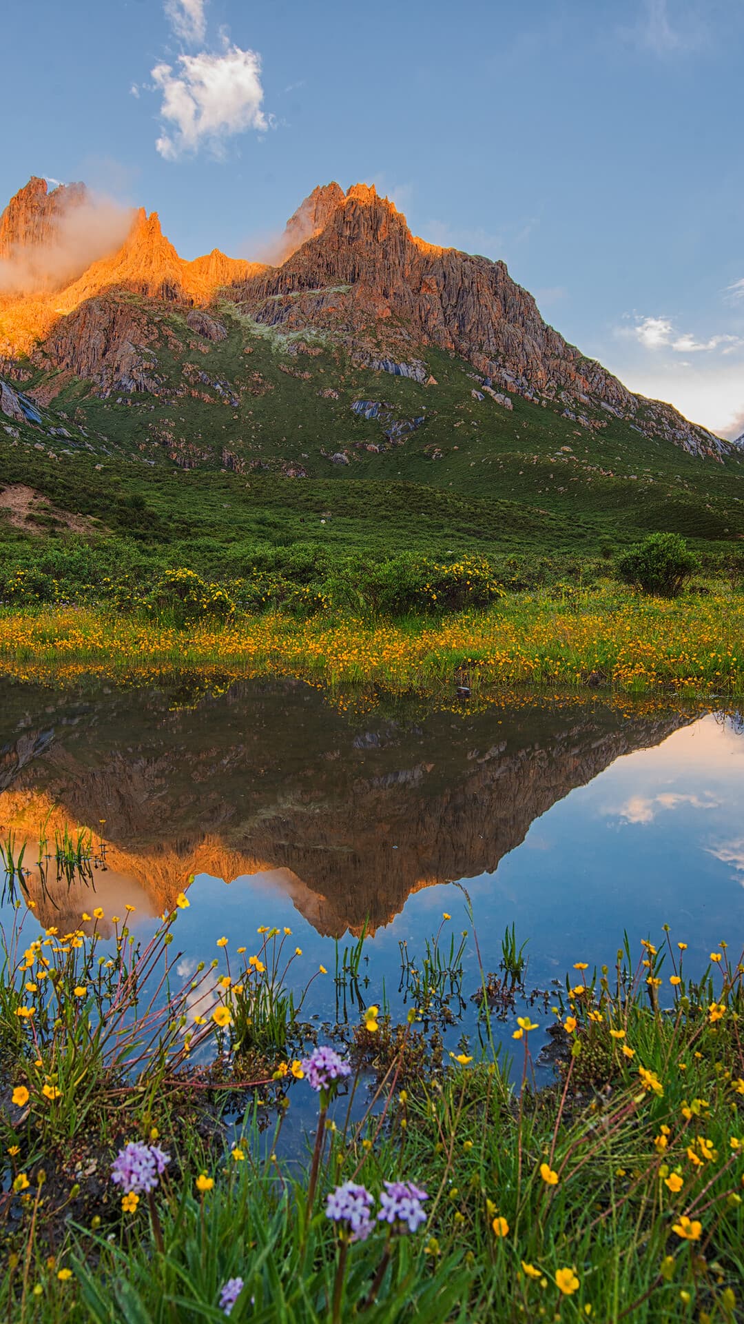 Aesthetic Wallpaper #3084