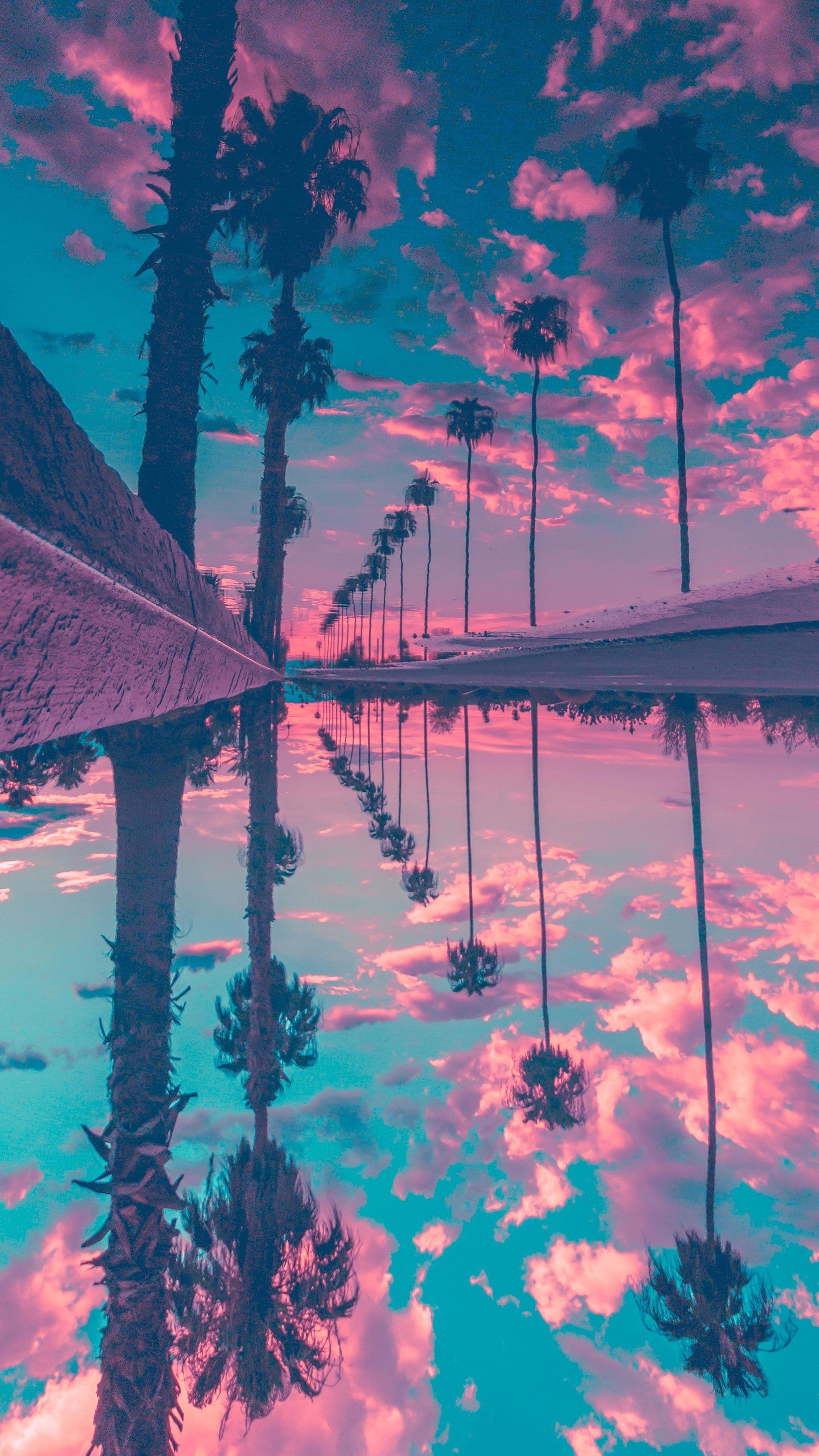 Wp Palm Trees Reflection Sky Hd Wallpapers