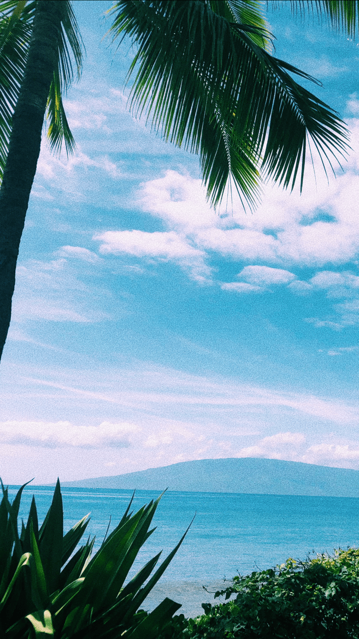 Wp Cute Aesthetic Summer Wallpapers