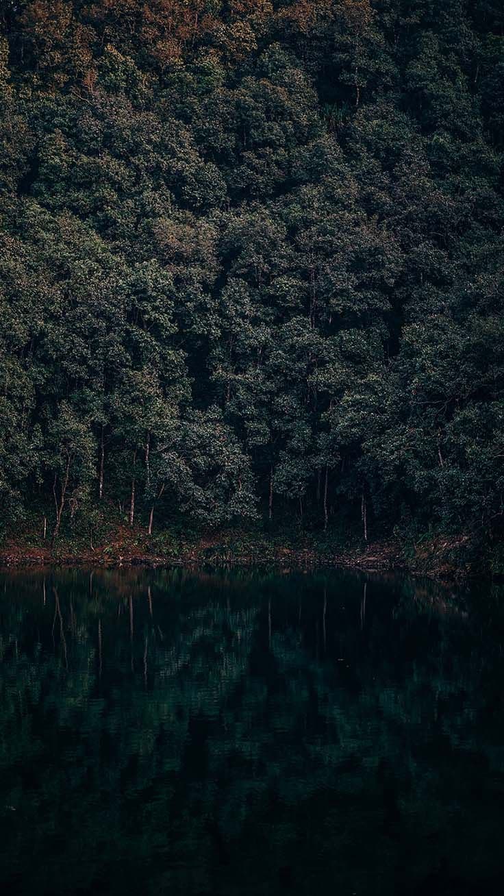 Wallpaper
