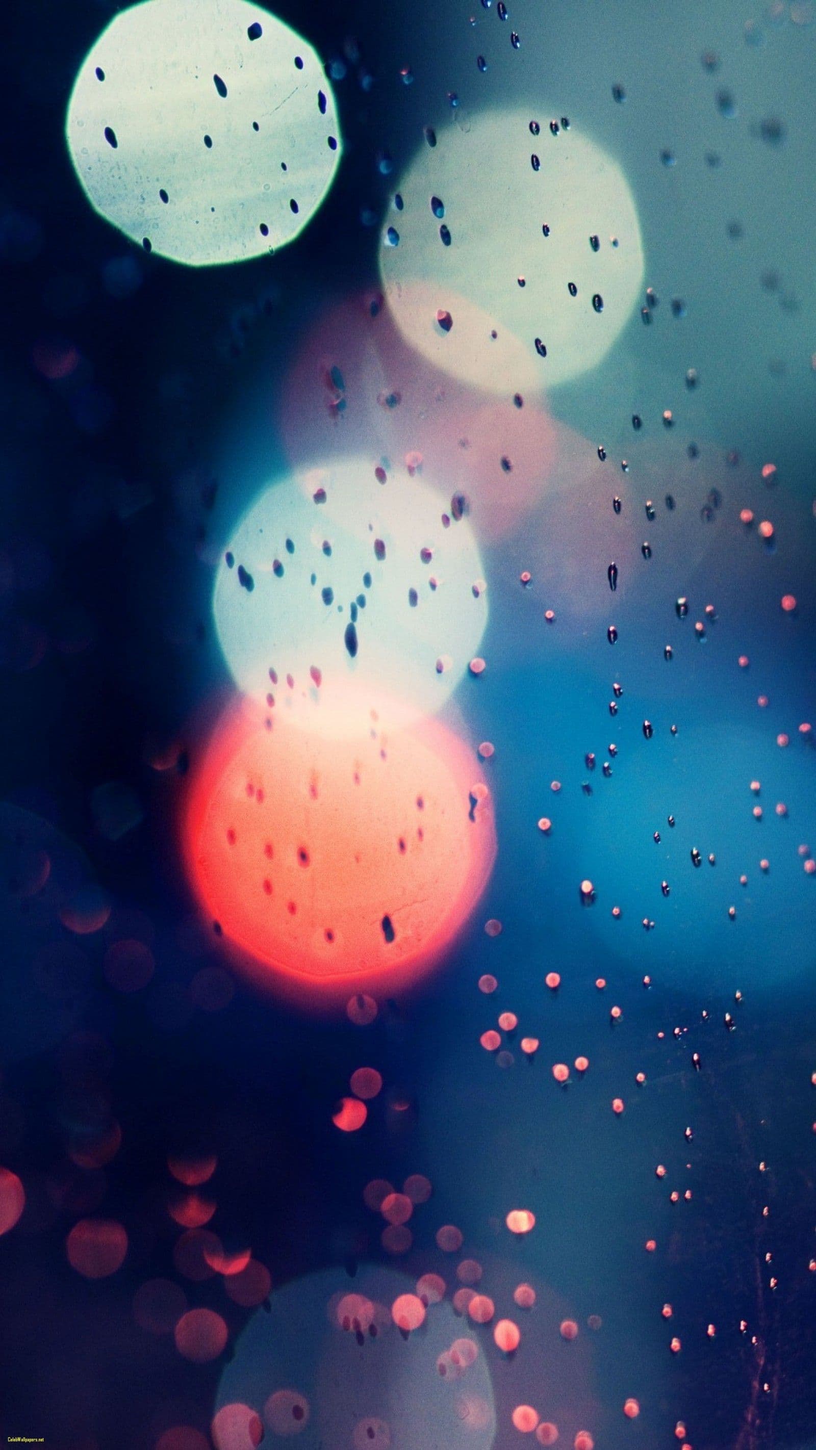 Wallpaper