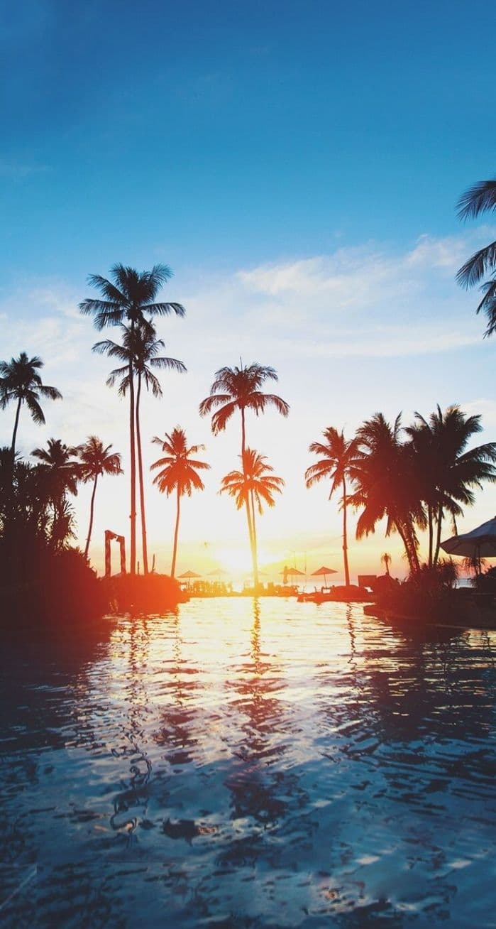 Wallpaper - free HD phone wallpaper for iPhone and Android, 1284x2778