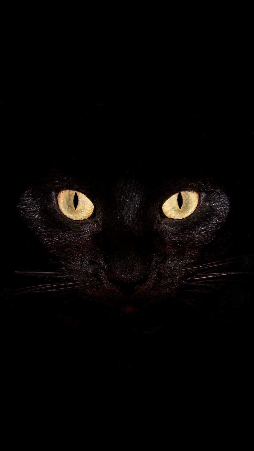 Wallpaper - free HD phone wallpaper for iPhone and Android, 1284x2778
