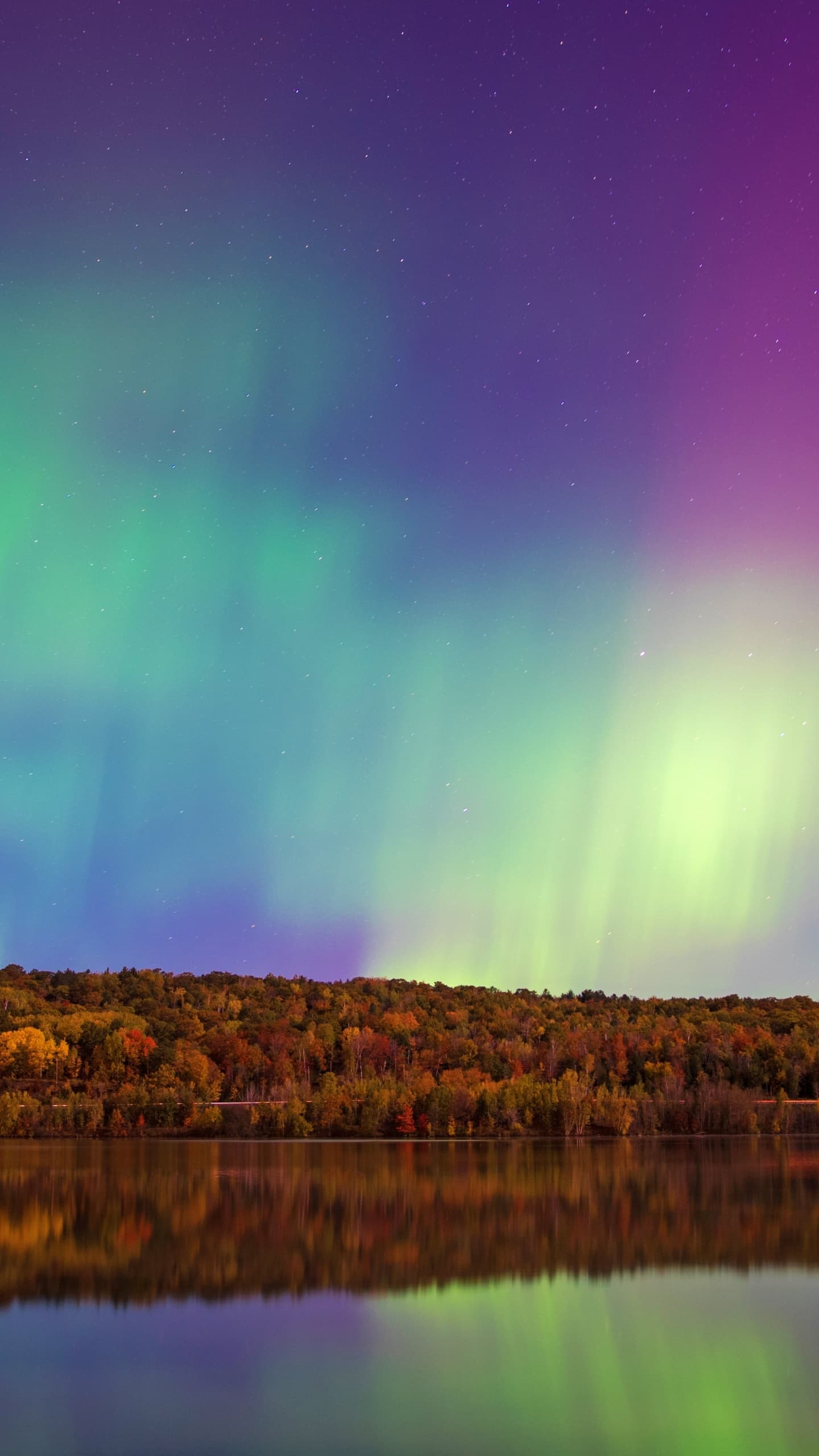 Aurora Sky Forest Trees Body Of Water Reflection Northern x - free HD phone wallpaper for iPhone and Android, 1284x2778