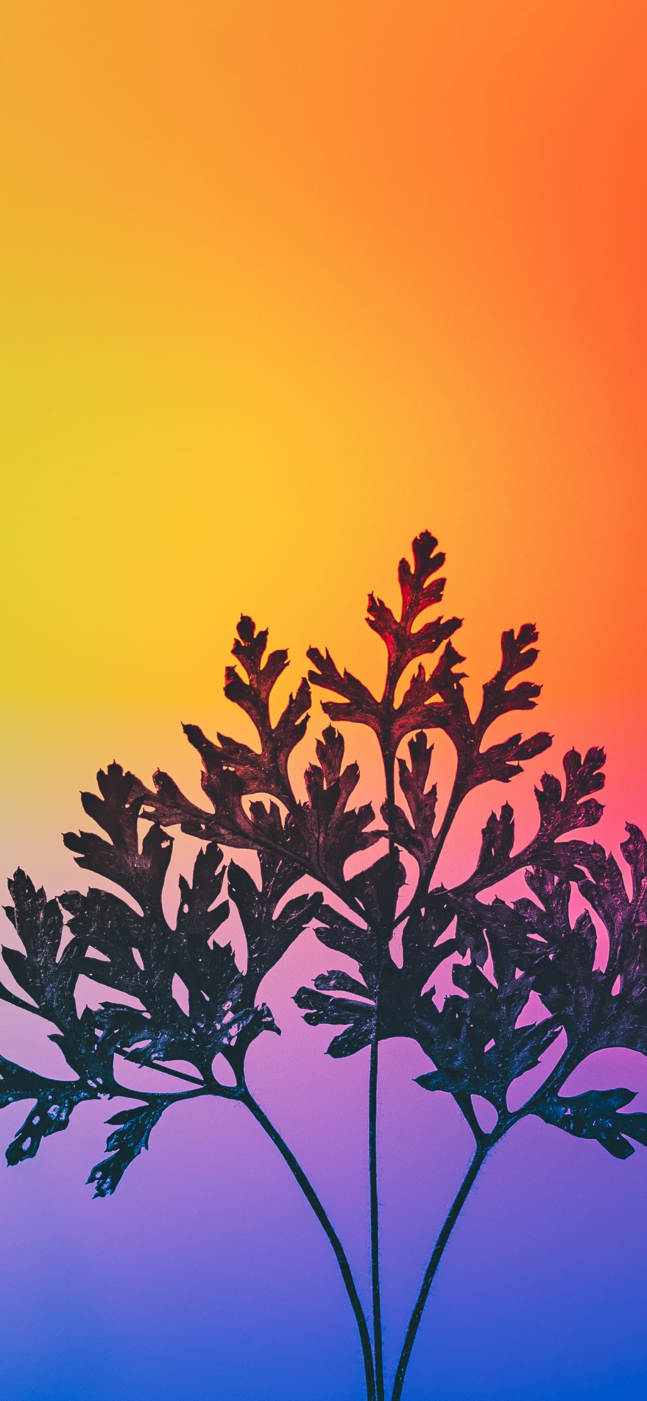 Herbal Plant Gradient Background Rgb Light Colorful x