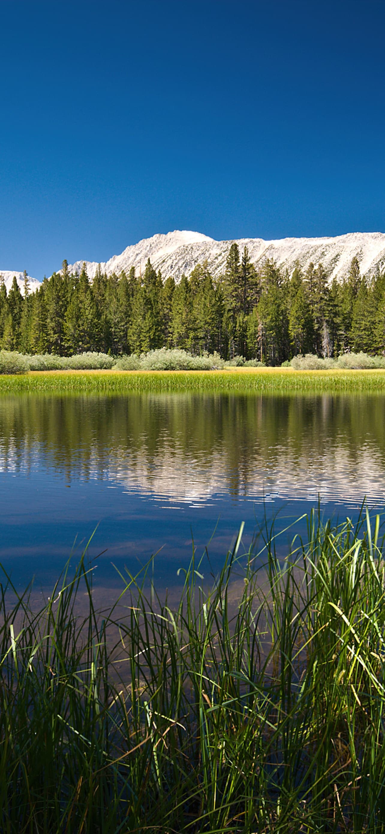 Lake Mountains Forest Sunny Day Summer Reflections Body Of x