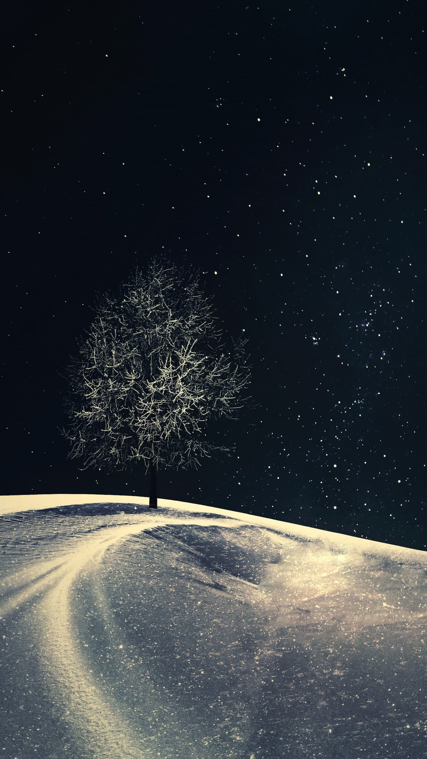Lone Tree Crescent Moon Night Starry Sky Night Sky Winter x - free HD phone wallpaper for iPhone and Android, 1284x2778