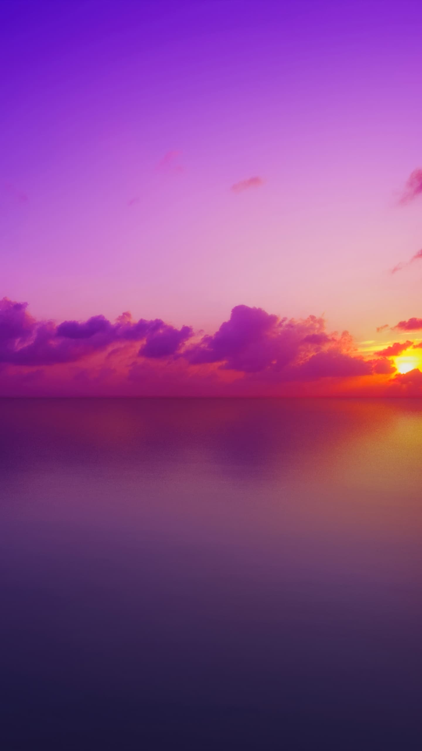 Maldives Sunset Lone Tree Purple Sky Clouds Sun Dusk Vivid x