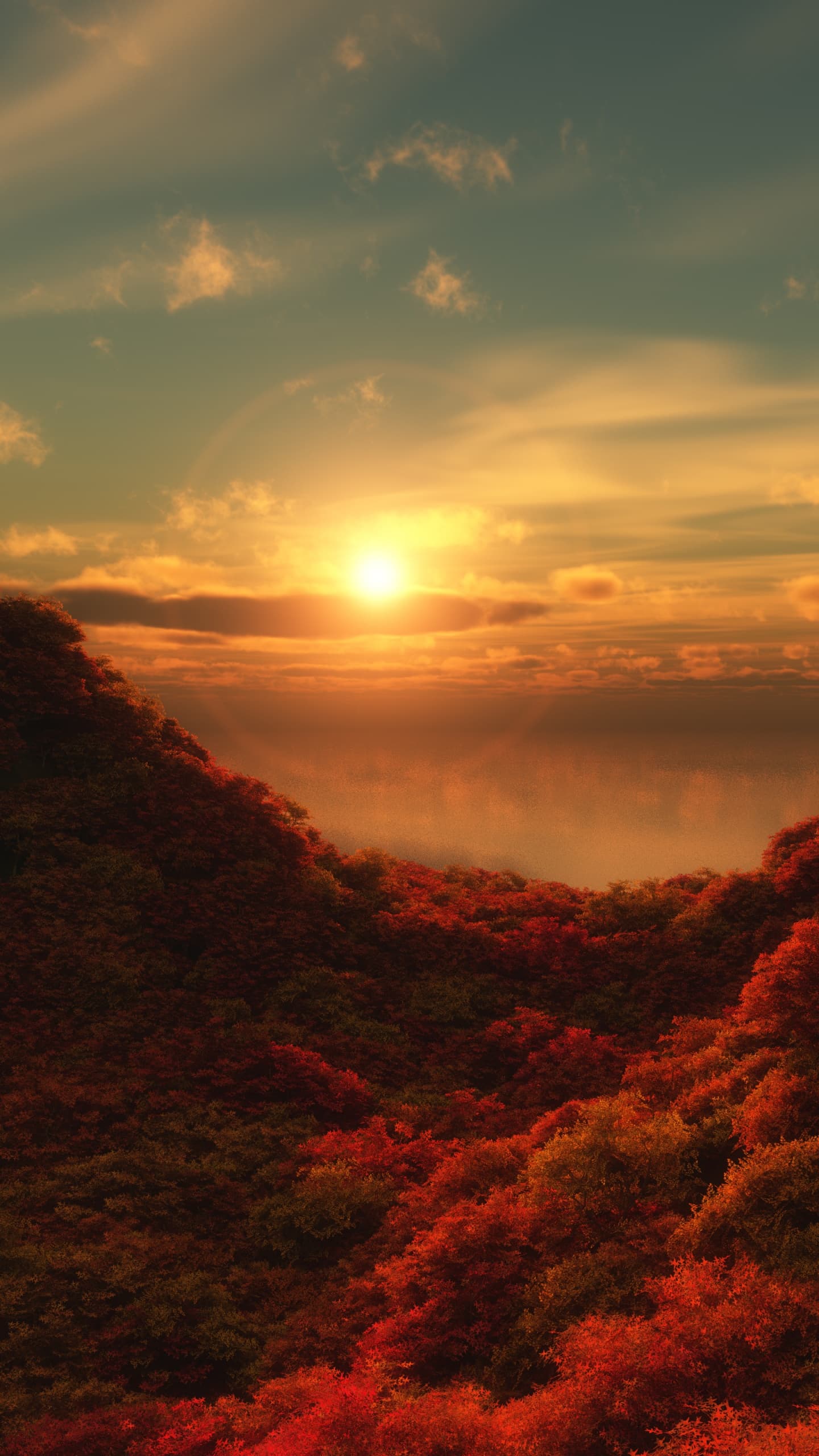 Red Trees Sunrise Cloudy Sky Forest Aerial View Beautiful 5k x - free HD phone wallpaper for iPhone and Android, 1284x2778