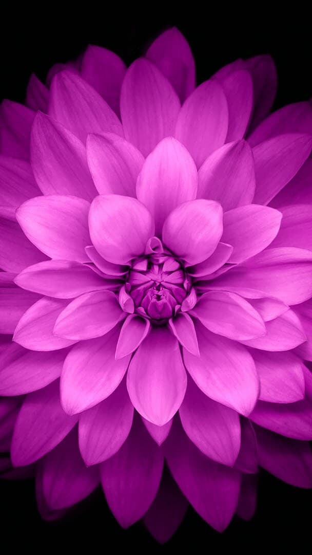 Aesthetic Wallpaper #28 - free HD phone wallpaper for iPhone and Android, 1284x2778