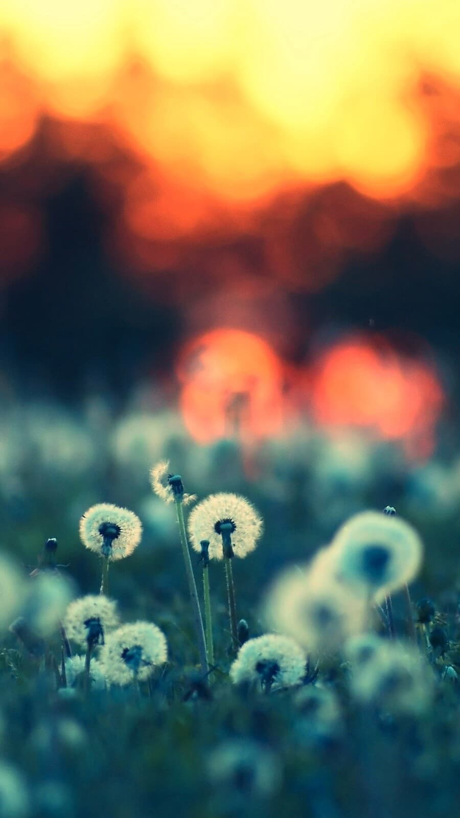 Aesthetic Wallpaper #1351