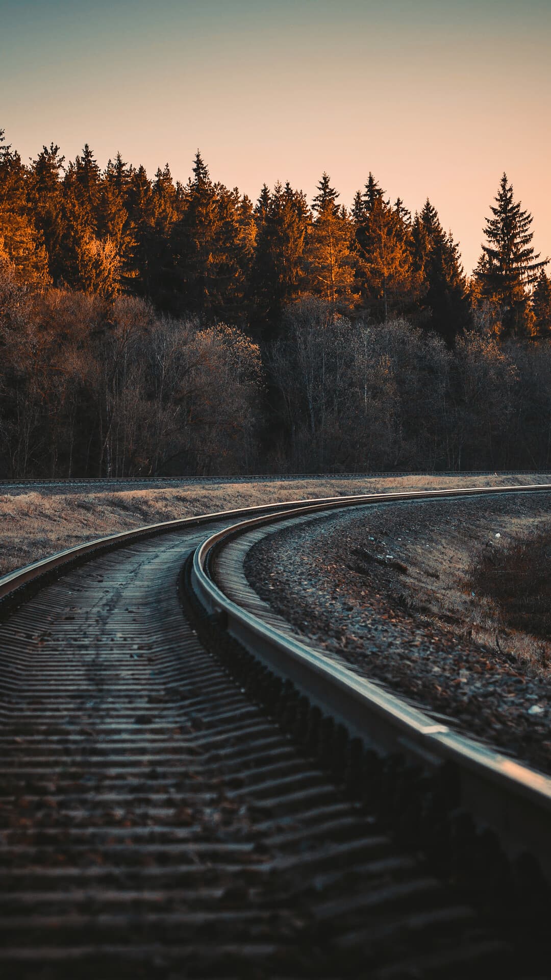 Aesthetic Wallpaper #4133 - free HD phone wallpaper for iPhone and Android, 1284x2778