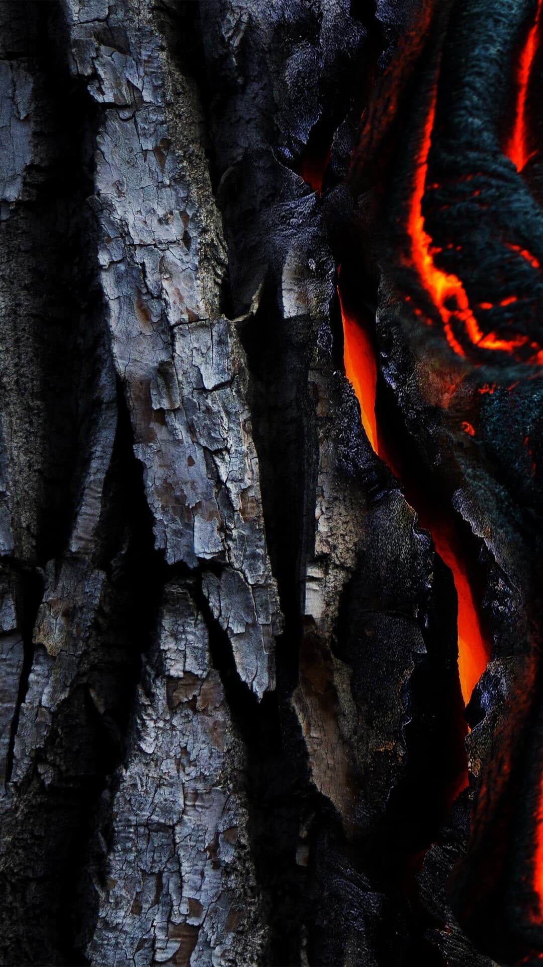 Aesthetic Wallpaper #4667 - free HD phone wallpaper for iPhone and Android, 1284x2778