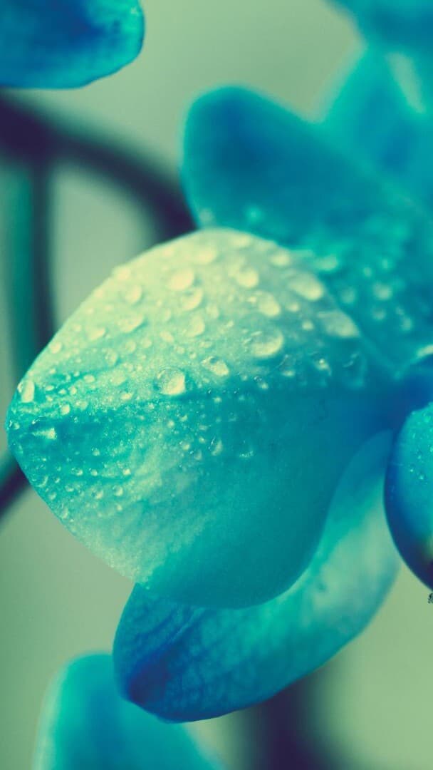 Aesthetic Wallpaper #2938 - free HD phone wallpaper for iPhone and Android, 1284x2778
