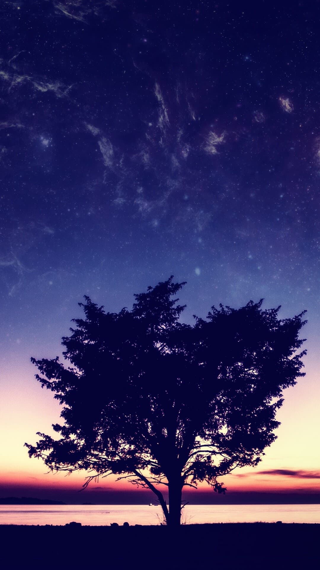 Aesthetic Wallpaper #4616 - free HD phone wallpaper for iPhone and Android, 1284x2778