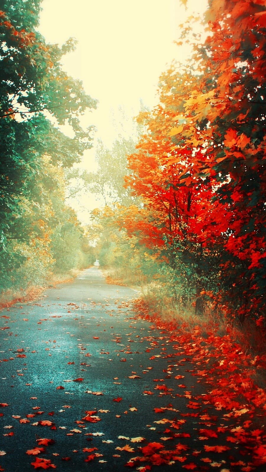 Aesthetic Wallpaper #3034 - free HD phone wallpaper for iPhone and Android, 1284x2778
