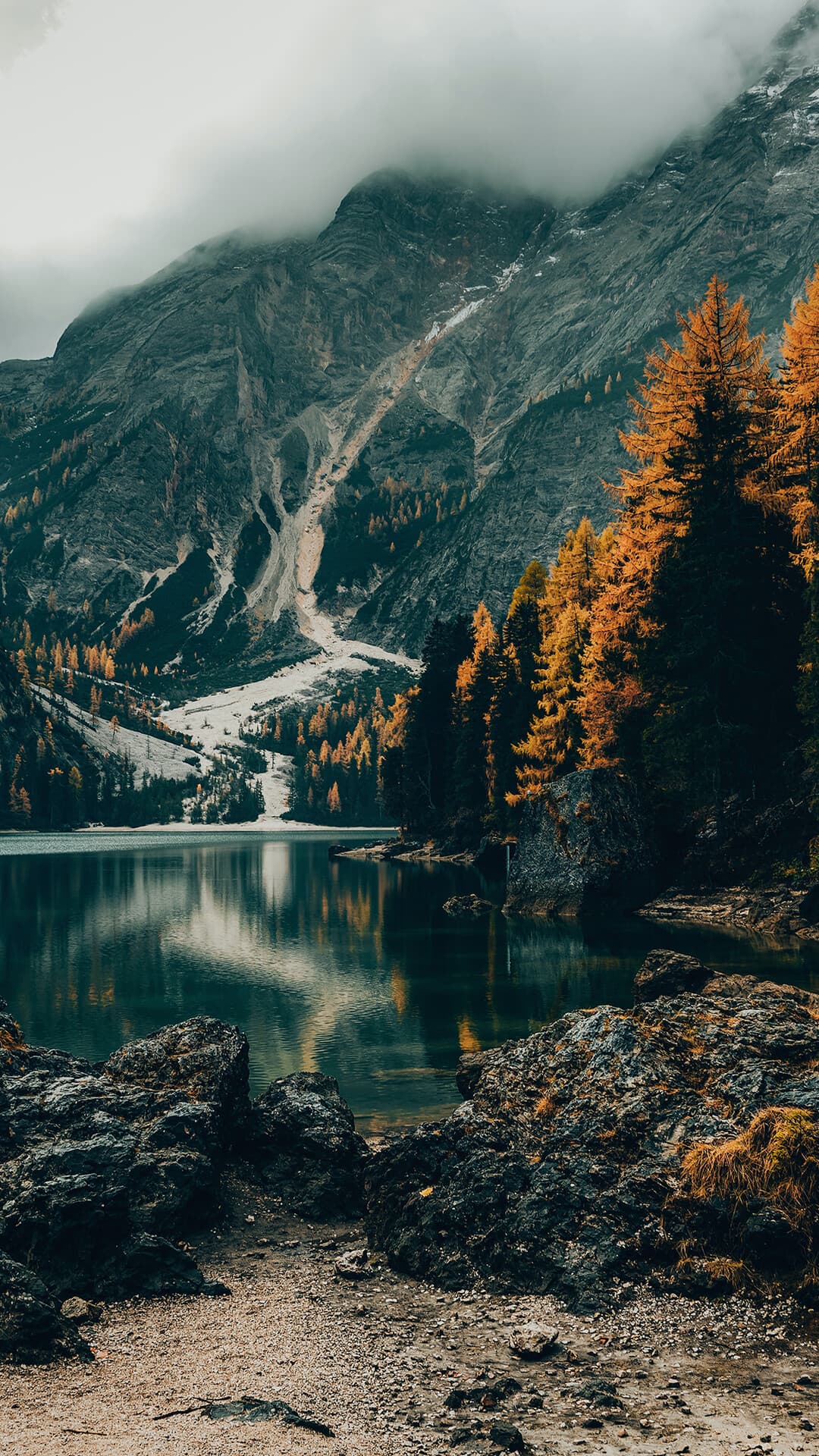 Aesthetic Wallpaper #1283 - free HD phone wallpaper for iPhone and Android, 1284x2778