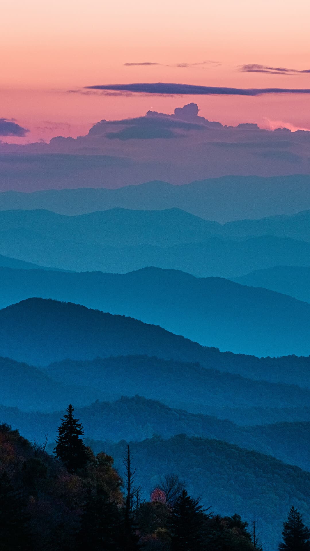 Aesthetic Wallpaper #1572