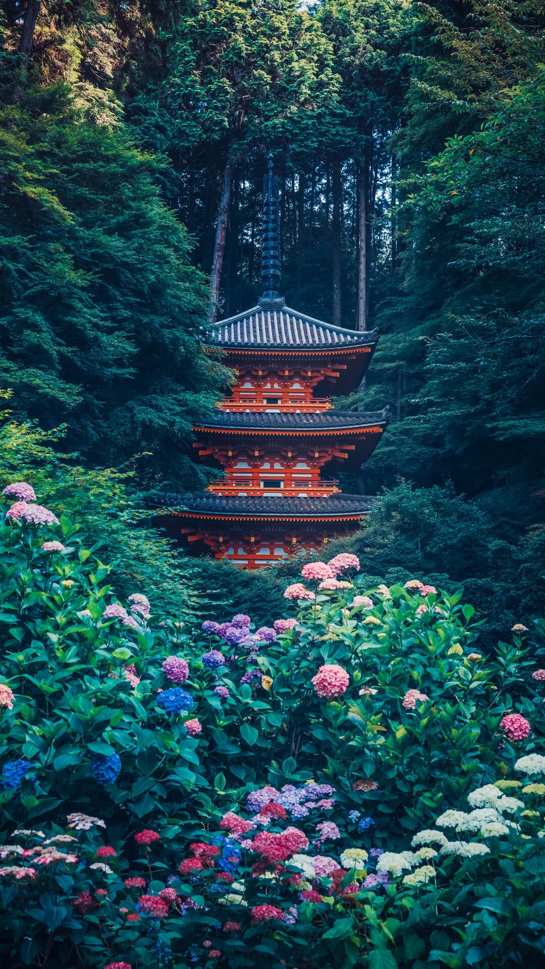 Aesthetic Wallpaper #4226