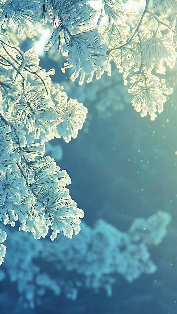 Aesthetic Wallpaper #2919 - free HD phone wallpaper for iPhone and Android, 1284x2778