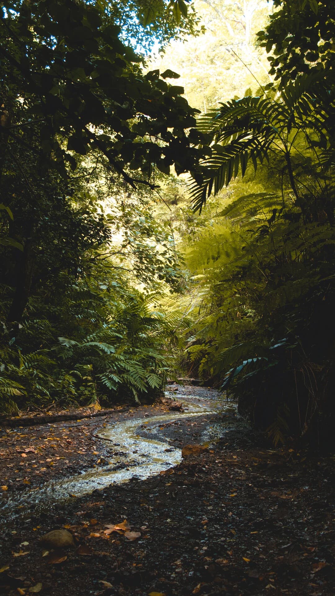 Aesthetic Wallpaper #548 - free HD phone wallpaper for iPhone and Android, 1284x2778