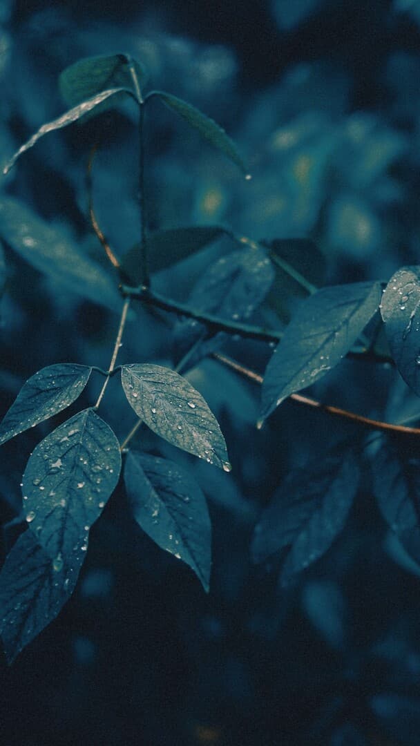 Aesthetic Wallpaper #910 - free HD phone wallpaper for iPhone and Android, 1284x2778