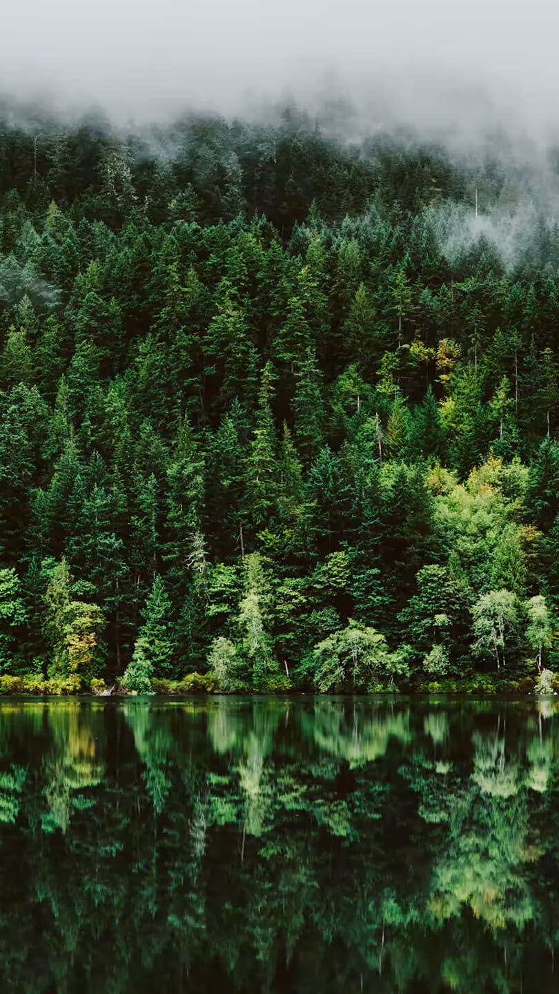 Aesthetic Wallpaper #304 - free HD phone wallpaper for iPhone and Android, 1284x2778