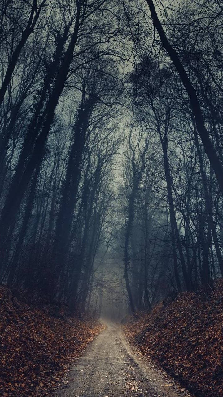 Aesthetic Wallpaper #3135 - free HD phone wallpaper for iPhone and Android, 1284x2778