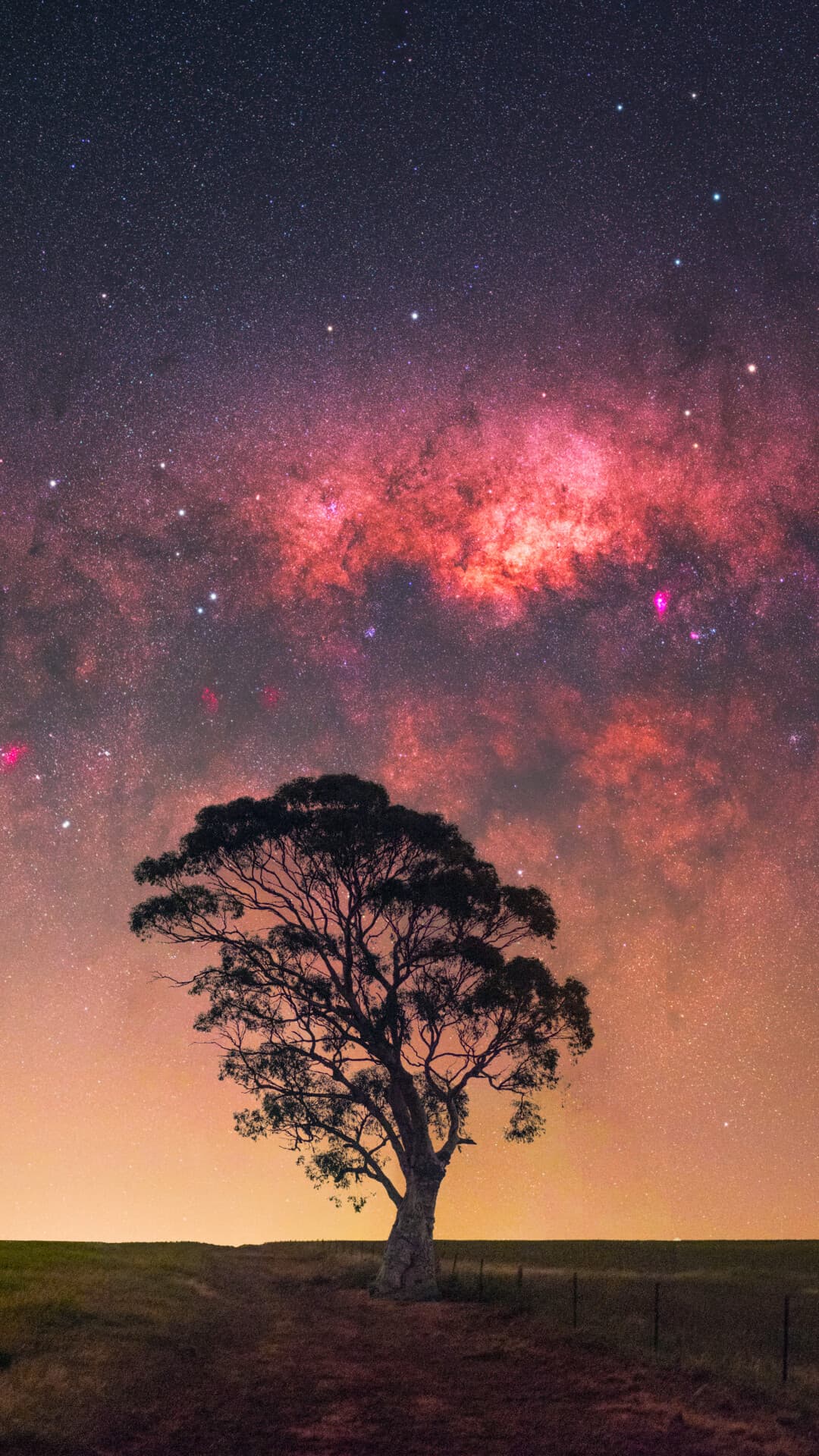 Aesthetic Wallpaper #2107 - free HD phone wallpaper for iPhone and Android, 1284x2778