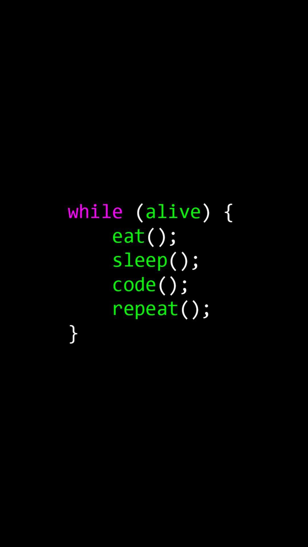 Wp Programmer Phone Wallpapers - free HD phone wallpaper for iPhone and Android, 1284x2778