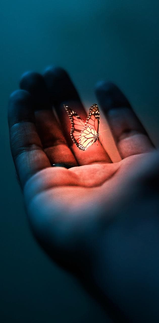 Wp Glowing Butterfly Wallpapers - free HD phone wallpaper for iPhone and Android, 1284x2778